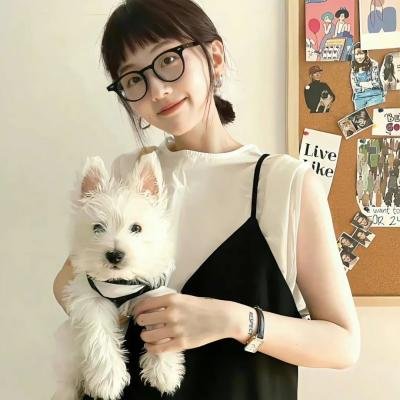 迪士尼之梦